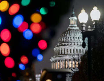 The Capitol is seen amid holiday lights Wednesday evening as the House of Representatives works to approve the Respect for Marriage Act, a bill already passed in the Senate to codify both interracial and same-gender marriage, in Washington, Dec. 7, 2022. (AP Photo/J. Scott Applewhite)