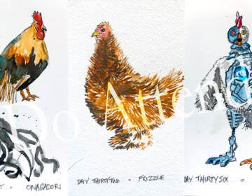 Artist Bob Dix has been posting his chicken renditions on InstagramINSTAGRAM / @VAMPIREVAMPIREBOY