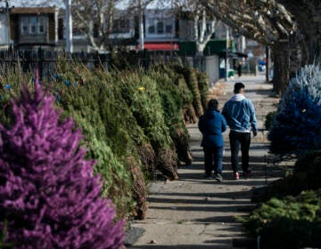 File photo: People walk amongst Christmas trees lining the sidewalk at the Tree Junction stand. (AP Photo/Matt Rourke)