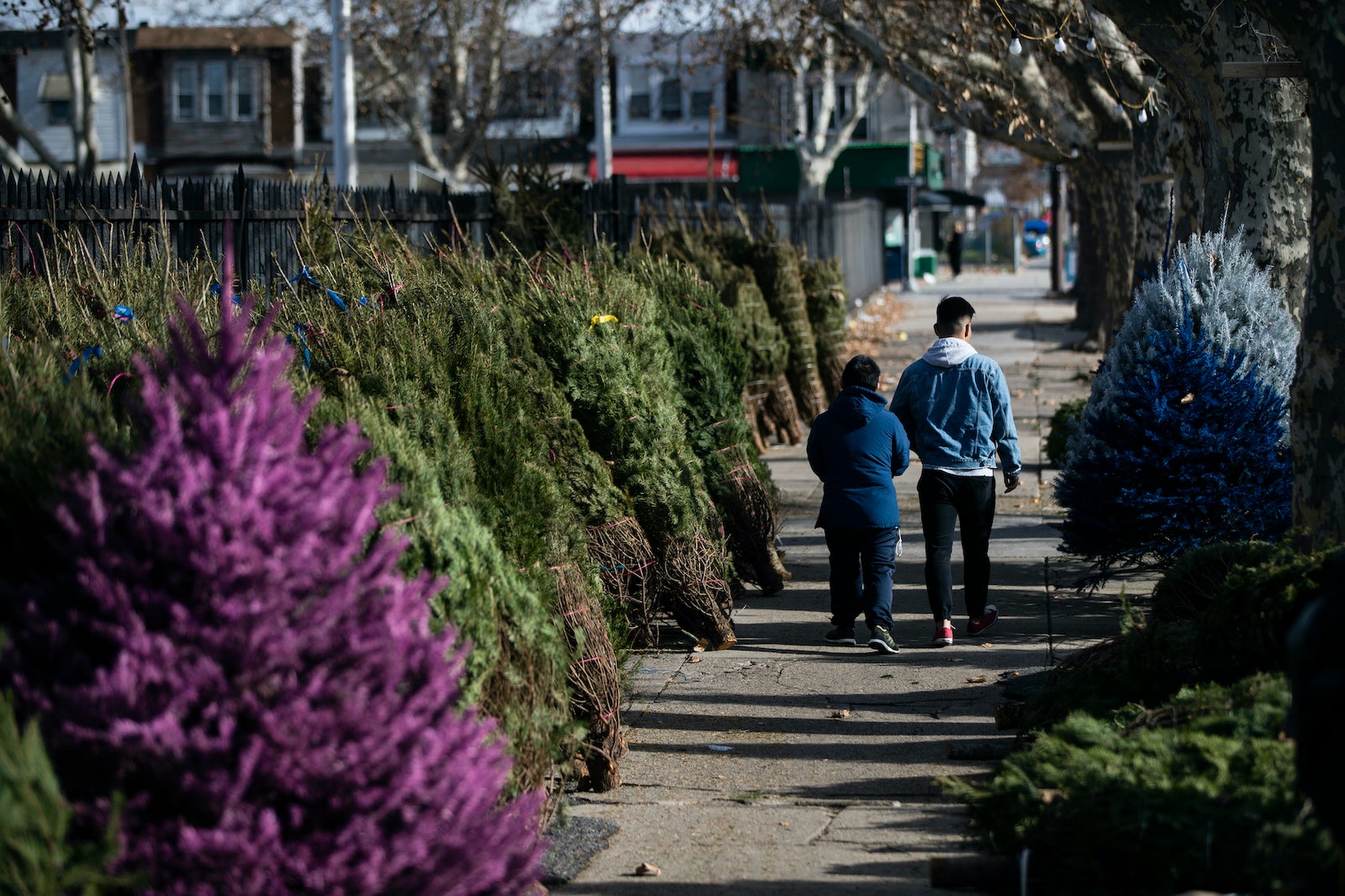 Delaware encourages residents to recycle Christmas trees