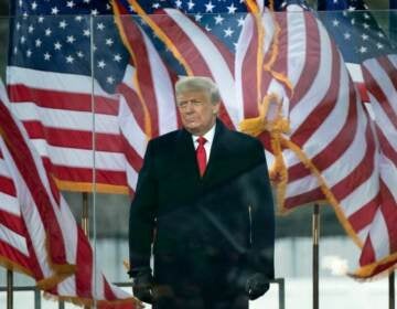Former President Donald Trump stands in front of numerous U.S. flags.