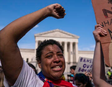 A person raises their fist with the Supreme Court building visible in the background.