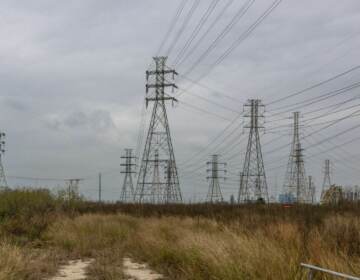 View of power lines.