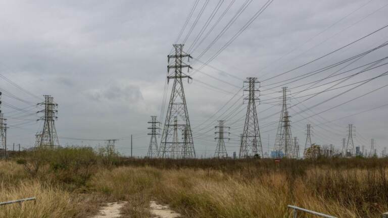 View of power lines.