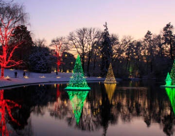 File photo: A Longwood Christmas Longwood Gardens. (Photo courtesy of Longwood Gardens) 