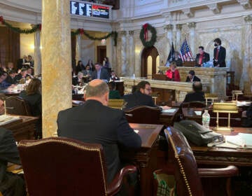 New Jersey Democratic Senate President Nicholas Scutari opens debate on legislation