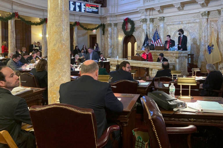 New Jersey Democratic Senate President Nicholas Scutari opens debate on legislation