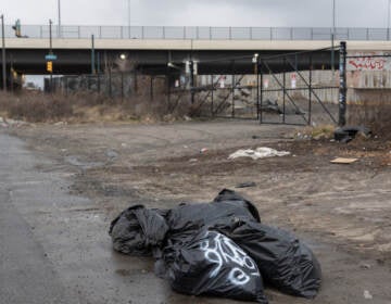 Several trash bags are in the foreground on the side of a road.