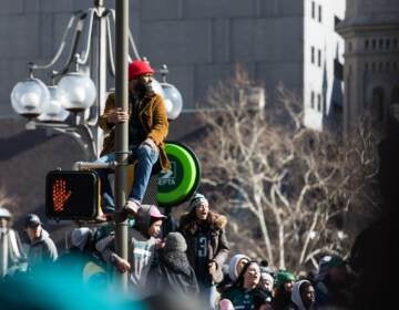 Fan scale a (greased) lamp post during the Eagles' 2018 Super Bowl victory parade