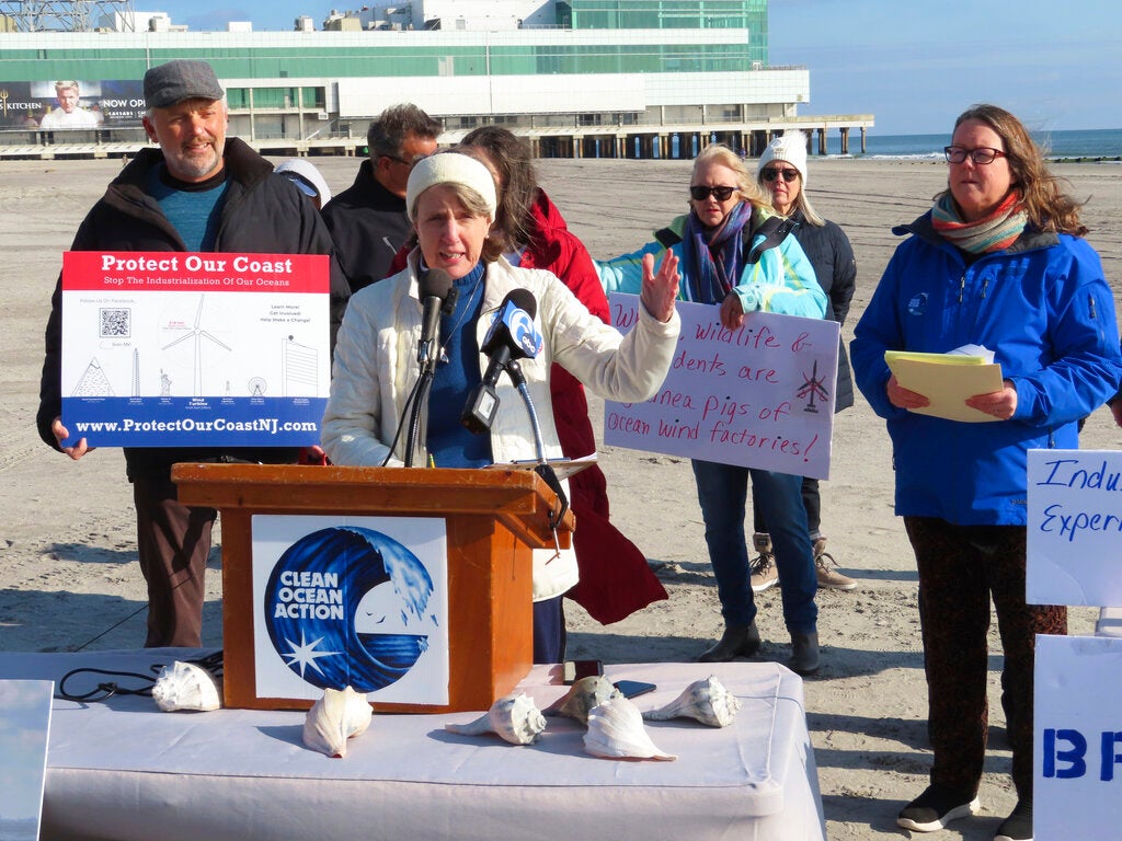 Why 23 Dead Whales Have Washed Up on the East Coast Since December