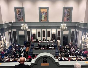 The Delaware General Assembly in session at the Legislative Hall in Dover, Delaware. (Johnny Perez-Gonzalez/WHYY)