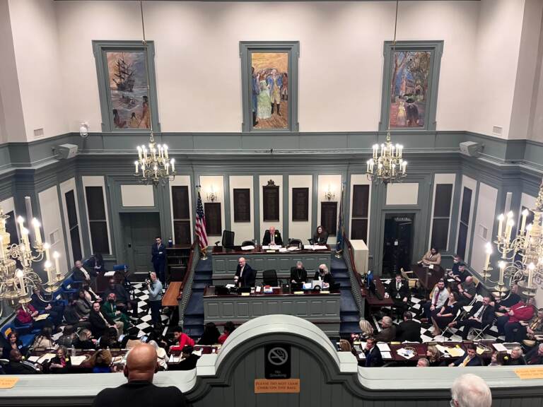 The Delaware General Assembly in session at the Legislative Hall in Dover, Delaware. (Johnny Perez-Gonzalez/WHYY)