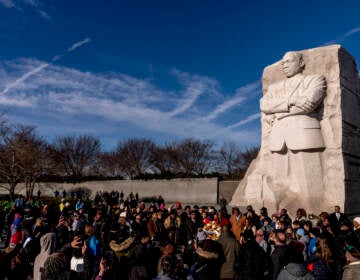 A large group gathers to watch a wreath-laying ceremony at the Martin Luther King Jr. Memorial