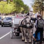 Cars pass a horse-drawn carriage in Old City