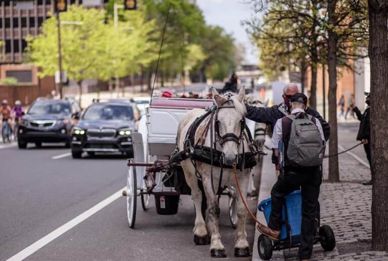Cars pass a horse-drawn carriage in Old City