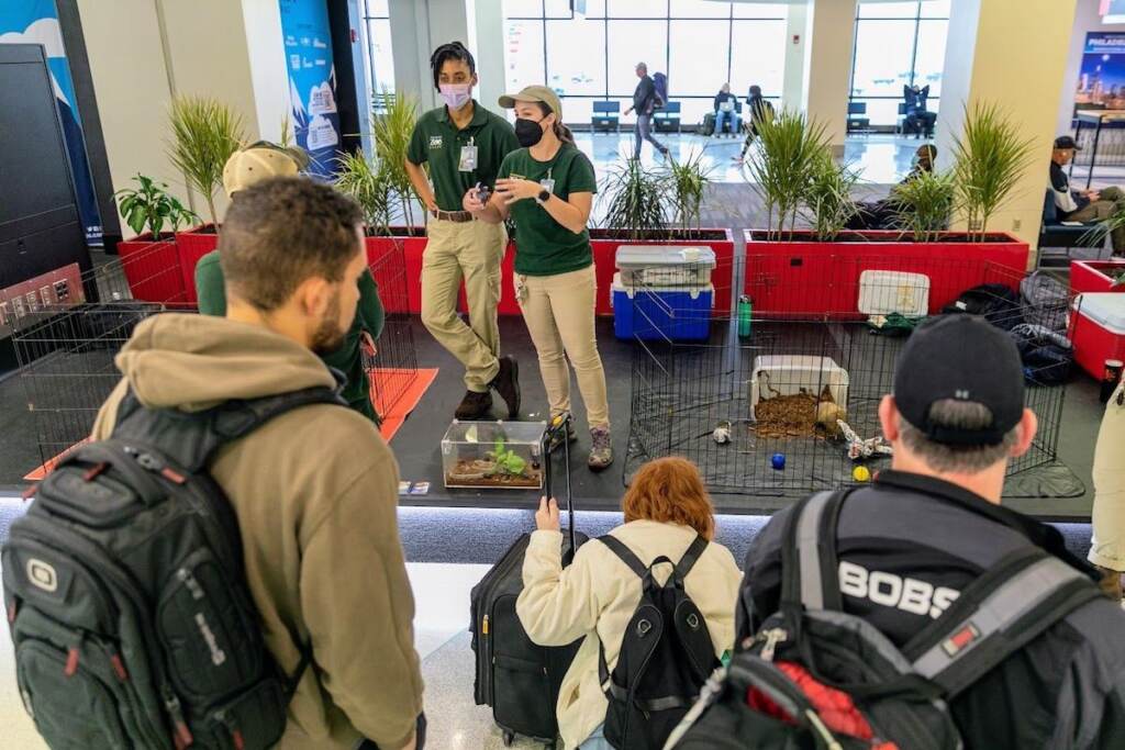 Zoo educators display animals in the background as travelers watch in the foreground.