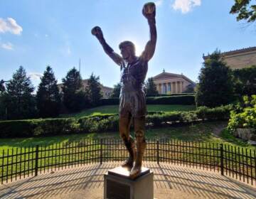 The Rocky statue on a sunny day.