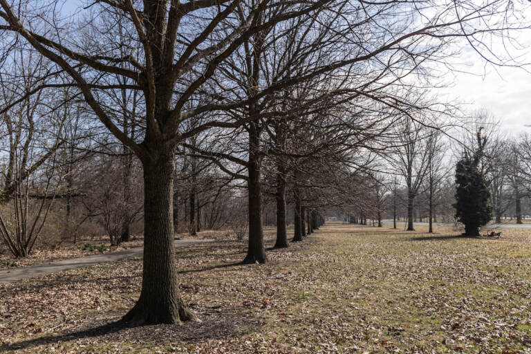 Late winter in Philadelphia's Fairmount Park. (Kimberly Paynter/WHYY)