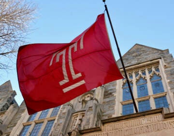 A view of a Temple flag from below, flying outside of a university building.