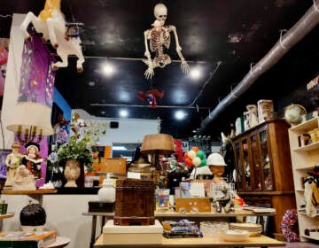 Philly AIDS Thrift store, known for its whimsical decor style, was voted best thrift store in Pennsylvania by Apartment Therapy in 2022. (Peter Crimmins/WHYY)