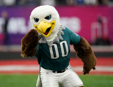 The Philadelphia Eagles mascot Swoop performs during the flag football event at the NFL Pro Bowl