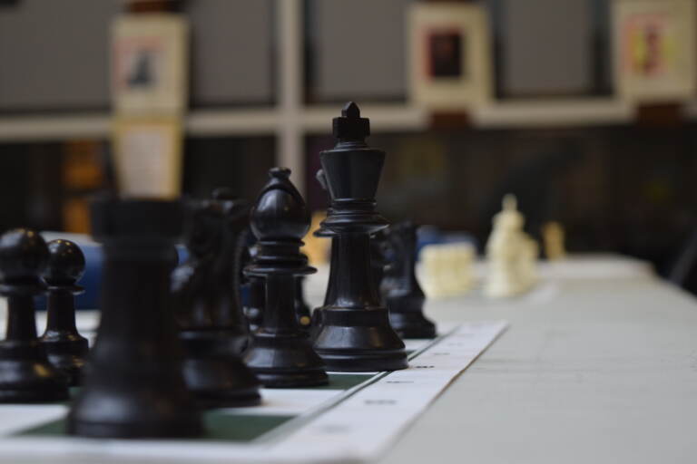 The chess: Art, sports, science and a true emotional therapy