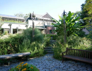 A backyard with a lot of plants and foliage is visible on a sunny day.