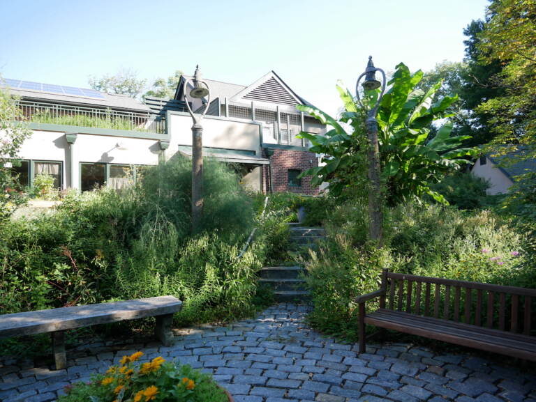 A backyard with a lot of plants and foliage is visible on a sunny day.