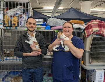 Chase Miller (left) and Kim Hartzel hold up kittens at an animal shelter