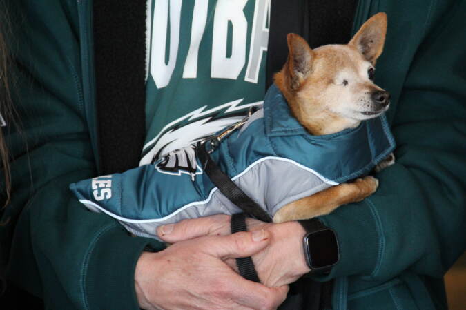 Some of the fan club's furry friends were on hand to root for the Eagles on Friday. (Cory Sharber/WHYY)