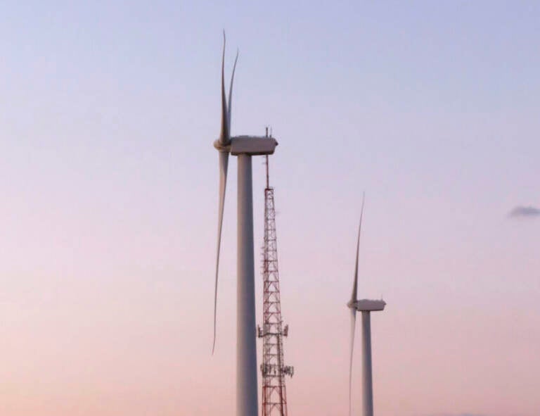 The facts on wind turbines, whales and New Jersey's future