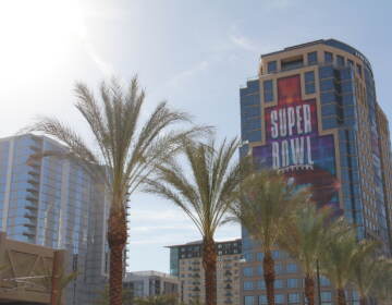 Palm trees and a sign that reads Super Bowl on a skyscraper are visible.