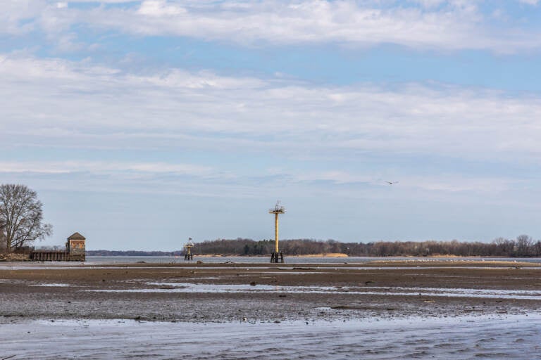 View of marshland near the Baxter Water Treatment Plant in Philadelphia.