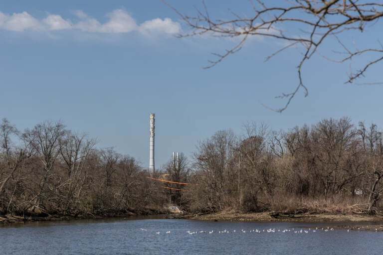 The point where the Otter Creek meets the Delaware River, south of the Bristol Marsh Preserve, at Delaware Canal State Park in Bristol, Pa. (Kimberly Paynter/WHYY)