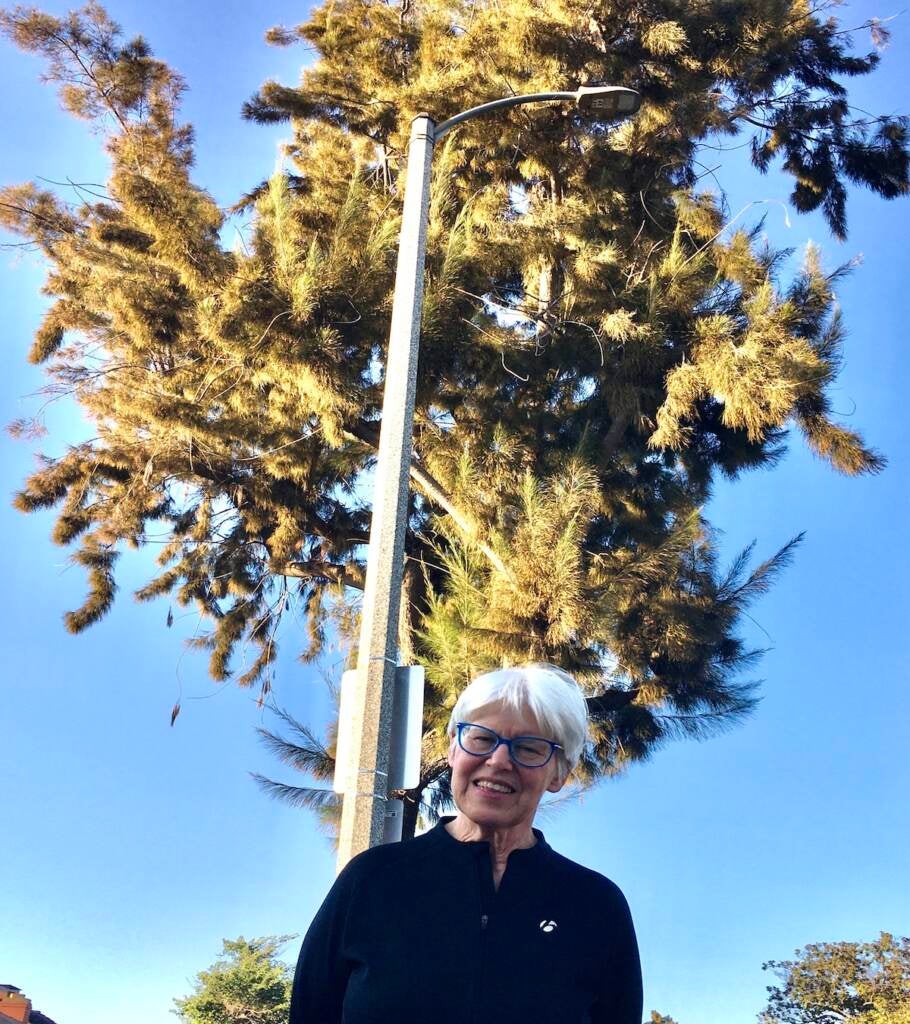 Moira Hahn lives in front of a stretlight in Long Beach, California that had previously been proposed for a 5G cell site. 