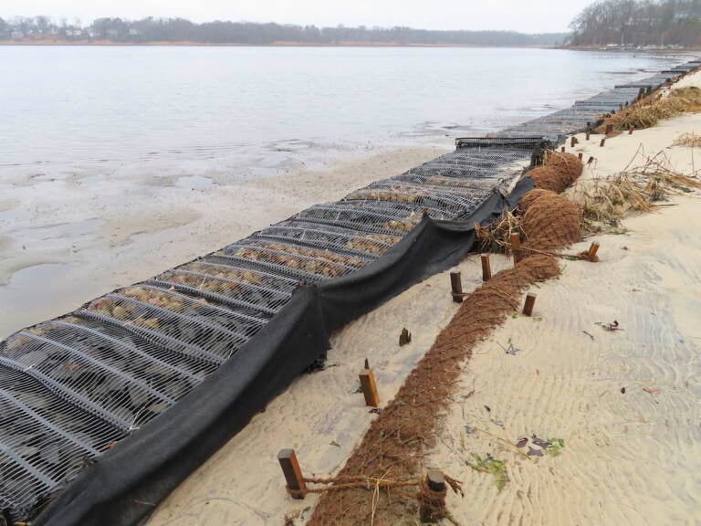 Logs of coconut husk known as coir sit on the bank of the Shark River in Neptune, N.J., Jan. 31, 2023, where the American Littoral Society doing a shoreline restoration project incorporating coconut fibers. The material is being used in shoreline stabilization projects around the world