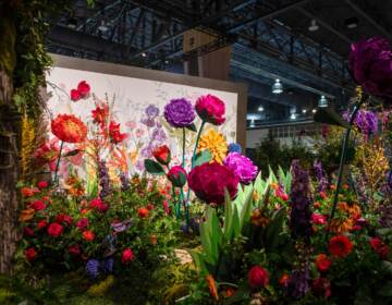 Life sized blooms that look like something out of a Dr. Seuss novel stand tall along the promenade at the 2023 Philadelphia Flower Show in the Pa. Convention Center