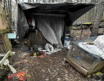 Roosters, turkeys, chickens, dogs, cats, and other birds were discovered living in deplorable conditions, authorities said. (6abc)