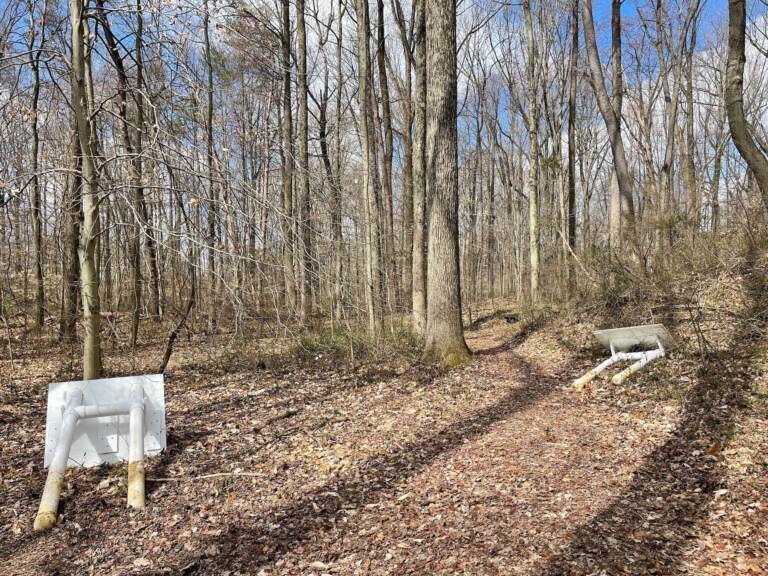 Trail signs are overturned in a trail in a forest.