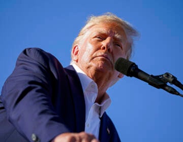 Former President Donald Trump speaks at a campaign rally