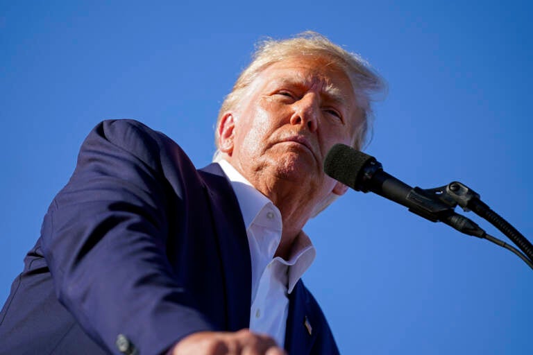 Former President Donald Trump speaks at a campaign rally