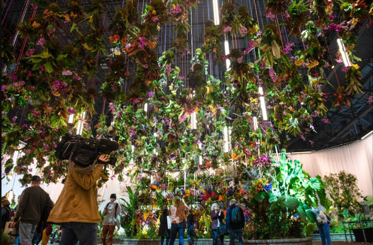 flower canopy hangs down