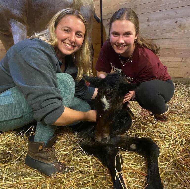 Madison and Haley pose with a newly-born filly that is laying in the straw. The mare, the foal's mom, is visible in the background.