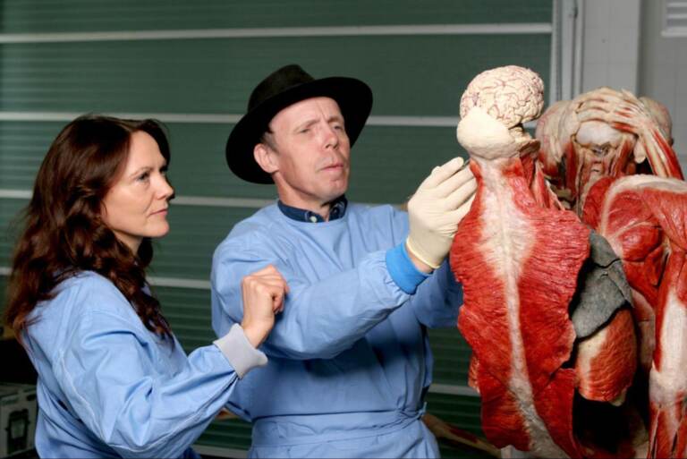 Dr. Gunther von Hagens and Dr. Angelina Whalley working on a plastinate.
