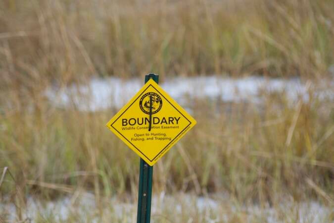 Environmentalists from Ducks Unlimited and other organizations are using $500,000 in funding to restore saltwater marshes in Delaware and New Jersey. Saltwater marshes protect communities from flooding, and provide habitat for birds and fish. (Courtesy of Ducks Unlimited)