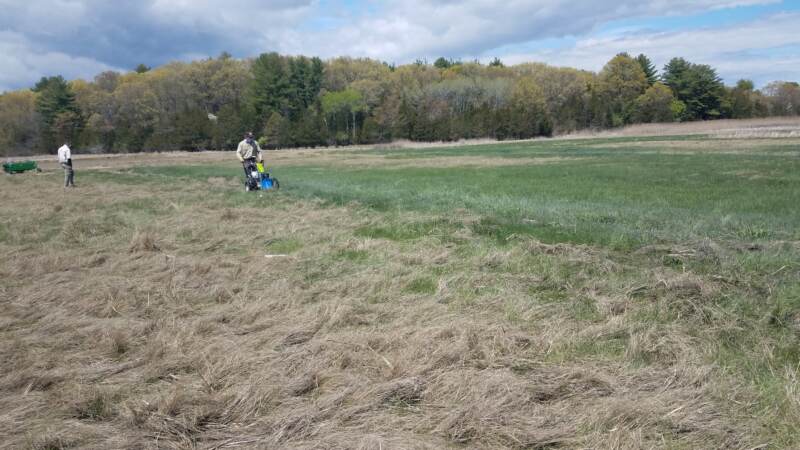 Environmentalists from Ducks Unlimited and other organizations are using $500,000 in funding to restore saltwater marshes in Delaware and New Jersey. Saltwater marshes protect communities from flooding, and provide habitat for birds and fish. (Courtesy of Ducks Unlimited)