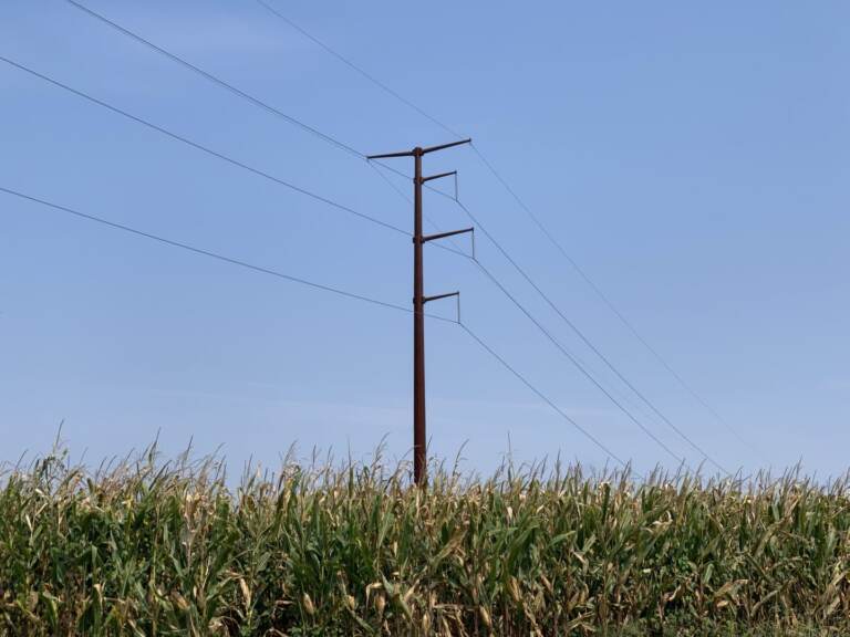A transmission line stands in a cornfield in Chanceford Township, York County on Sept. 13, 2021. (Rachel McDevitt / StateImpact Pennsylvania)