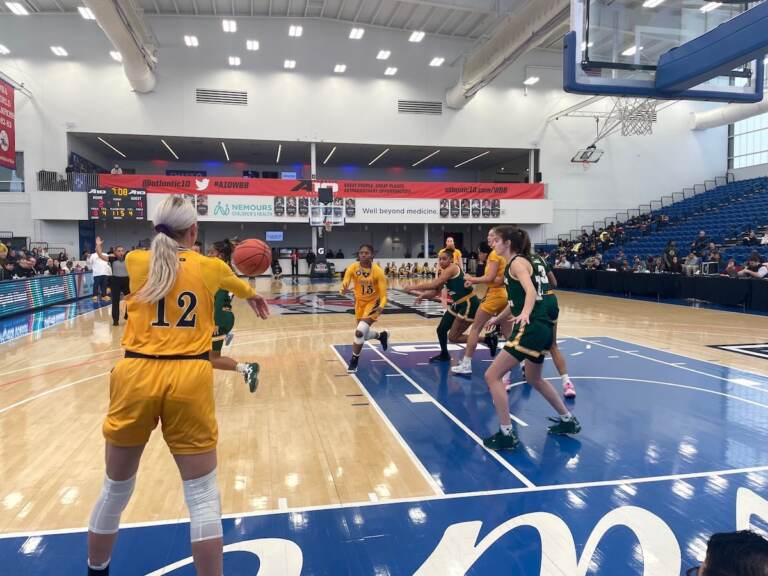 A player throws a basketball inbounds to her teammate during a basketball game.