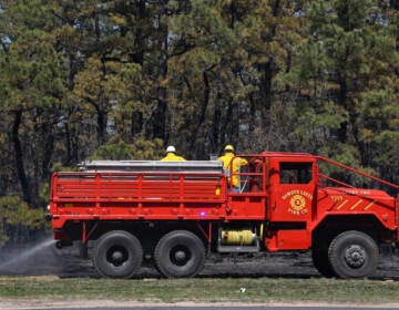 A fire truck and firefighters are visible in front of a forest.