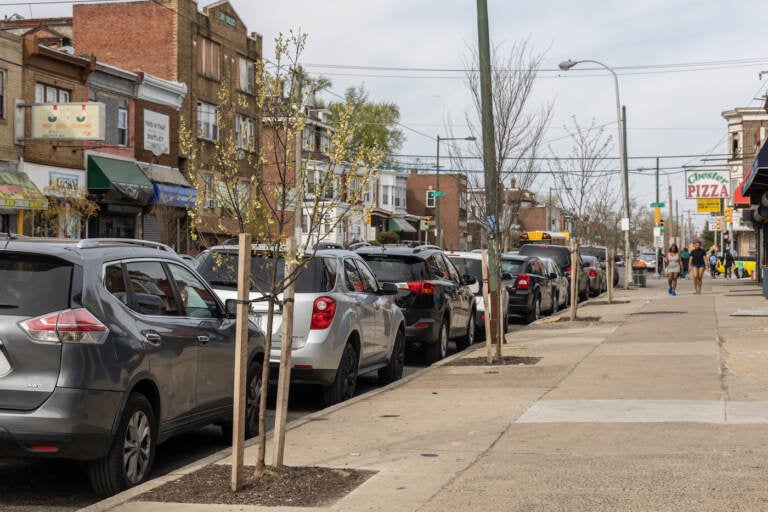 Commercial corridor with new trees planted